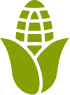 Corn Farming Solution