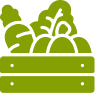 Vegetable Farming Solution